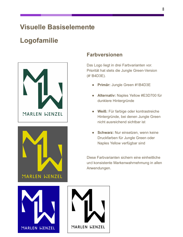 Style Guide Corporate Design Branding Solraura Grafik Design Agentur