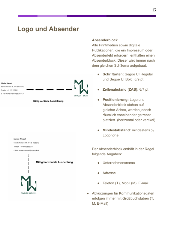 Style Guide Corporate Design Branding Solraura Grafik Design Agentur