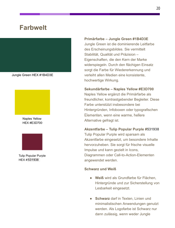 Style Guide Corporate Design Branding Solraura Grafik Design Agentur